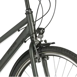 Prophete Entdecker 100 28 Zoll RH 48 cm Unisex grau