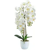 DIXIE STORE Kunstpflanze Orchidee | Künstliche Orchidee im Topf, wie echt, 70 cm, 4 Zweige, Zahlreiche Blumen, Dicht, Weiß