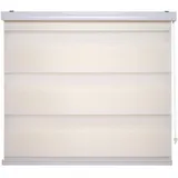 LIEDECO Doppelrollo mit 20 cm Streifen" Gr. 1, beige Champagner B:60cm H:160cm, Polyester, Rollos, im Fixmaß