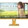 JAPANNEXT JN-IPS238G120F-HSP-YE 23,8" IPS Full HD