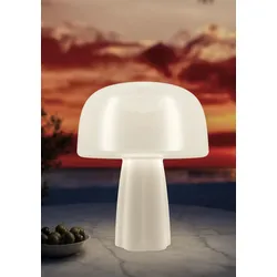 The Boleti Lamp 100% Solar