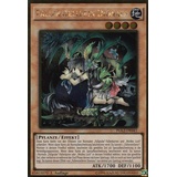 PGL2-DE041 - Fallenstellerin Dionaea - Gold Rare - DE - im Set mit Ultrapro Toploader - Yugioh