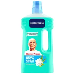 Meister Proper FRÜHLINGSERWACHEN Allzweckreiniger 1,00 l 8700216624688 Meister Proper