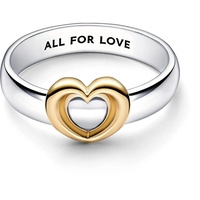 Pandora Anillo Moments 162504C00-54 dos tonos