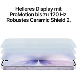 Apple iPhone 17 512 GB Schwarz