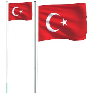 vidaXL Flagge der Türkei mit Mast 6,23 m Aluminium