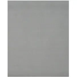 GARDINIA Sichtschutz Rollo 100 x 200 cm Grau