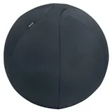 Leitz Ergo Active Sitzball dunkelgrau 65,0 cm