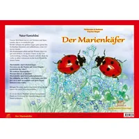 Fischer-Nagel, H Natur-Kamishibai / Natur-Kamishibai - Der Marienkäfere: