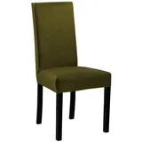 MIRJAN24 Stuhl Roma II (1 Stück), aus Buchenholz, 46x41x97 cm grün