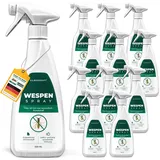 Silberkraft Wespenspray Insektenvernichter 500 ml