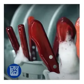 Tramontina STEAK-/PIZZA Messer, 6 Stück, Edelstahl, Holzgriff FSC, spülmaschinenfest