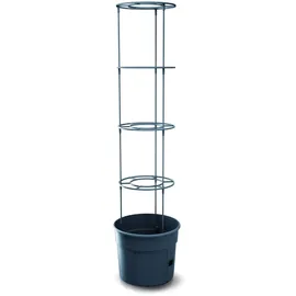 Prosperplast Tomatentopf Kunststoff anthrazit