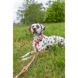 Trixie Soft Rope Zug-Stop-Halsband Rot 35 cm