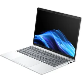 HP EliteBook 8 G1a 13,3" Ryzen 5 230 32 GB RAM 1 TB SSD Radeon 760M Win11 Pro Silber