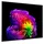 LG OLED55G68LW 55" 4K 3840 x 2160 OLED Smart TV