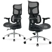 SIHOO Doro S100 Netzstoff Schwarz