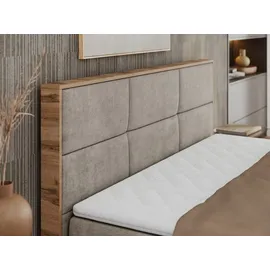 MKS Meble Albero-2 140 x 200 cm H3 Beige