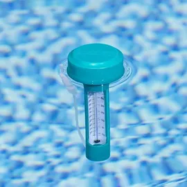 BESTWAY Pool-Thermometer grau 0,25 m