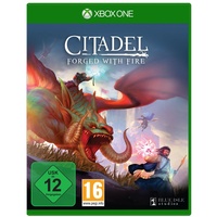 Citadel, Forged with Fire, 1 Xbox One-Blu-ray Disc