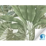 Vorgeleimte Vliestapete Dschungel Grün, Weiß, Palmenblätter (10,05x0,53m), A.S. Création Tapete ohne Kleister, vorgekleistert