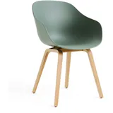 HAY - About A Chair AAC 222, Eiche lackiert / fall green 2.0 (Kunststoffgleiter)