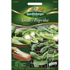 Quedlinburger 292889 Grill-Paprika Padron (Saatplatte) (Paprikasamen)