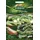 Quedlinburger 292889 Grill-Paprika Padron (Saatplatte) (Paprikasamen)