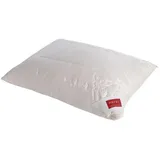 Hefel Pure Silk Kopfkissen 40 x 80 cm Beige