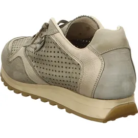 CETTI Sneaker Low Herren Grün 43
