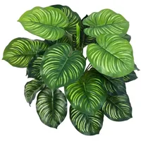 Aplanta Künstliche Calathea - Clara | 45 cm,