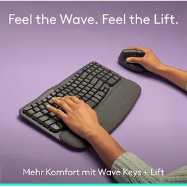 Logitech Wave Keys and Lift Combo DE