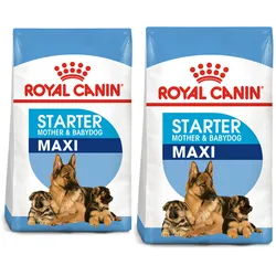 ROYAL CANIN MAXI Starter für tragende Hündin und Welpen 30 kg (2 x 15 kg)