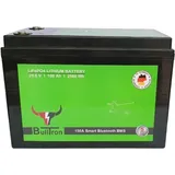 100Ah Bulltron Polar LiFePO4 25.6V Akku mit Smart BMS, Bluetooth App und Heizung