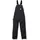 CARHARTT Bib Overall