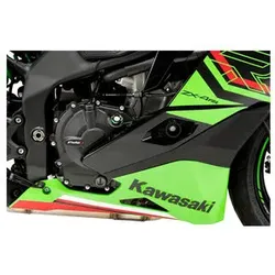 Puig Motorgehäuse Schutz