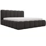GRAINGOLD Polsterbett mit Bettkasten 200x200 (cm): B: 225 H: 105