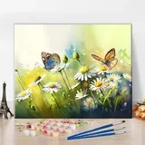 Blumenfeld Malen nach Zahlen für Erwachsene Schmetterling Landschaft Aquarell Malen nach Zahlen Kits Kinder Erwachsene Malen nach Zahlen Floral DIY Malen nach Zahlen für Erwachsene Leinwand, 16 "x20"