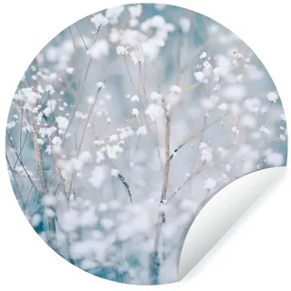 MuchoWow Wandsticker Äste - Schnee - Winter - Natur - Botanisch (1 St), Wanddeko Wohnzimmer Schlafzimmer Wandverkleidung, 50x50 cm bunt 50 cm x 50 cm x 0.1 cm
