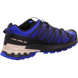 Salomon XA Pro 3D V9 GTX Herren Blue Print/Surf The Web/Lapis Blue 47 1/3