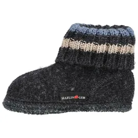 HAFLINGER Paul grau 25
