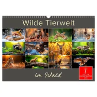 Calvendo Wilde Tierwelt im Wald (Wandkalender 2026 DIN A3