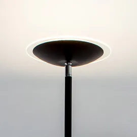 LINDBY Malea (F20824BK.FR)