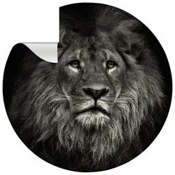 mySPOTTI Vliestapete »Lion«, Tiermotiv, Löwe, grau/weiß, matt