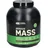 Optimum Nutrition Serious Mass Schokolade Pulver 2660 g