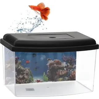 GarPet Mini Aquarium Terrarium Faunarium Zucht Becken klein Fisch Triops Garnelen Acryl Kunststoff Plastik mit Deckel Rückwandfolie