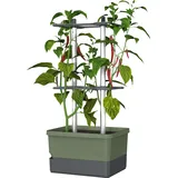 Gusta Garden Charly Chili Pflanzentopf mit Rankhilfe 34,5 x 27,5 x 68,7 cm Dunkelgrün