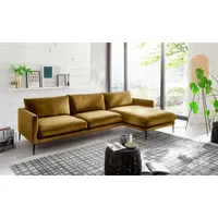 Polsterecke TRENDS BY HG "Svea L-Form" Sofas Gr. B/H/T: 288cm x 80cm x 155cm, Microvelours, Recamiere rechts, gelb (senf) Recamiere rechts oder links, mit Metallfuß, frei im Raum stellbar