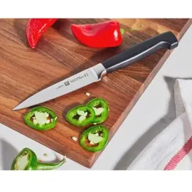 Zwilling Messerset 2-tlg