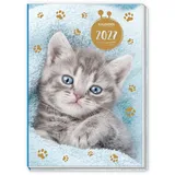 Trötsch Verlag Taschenkalender A7 Katze 2027
